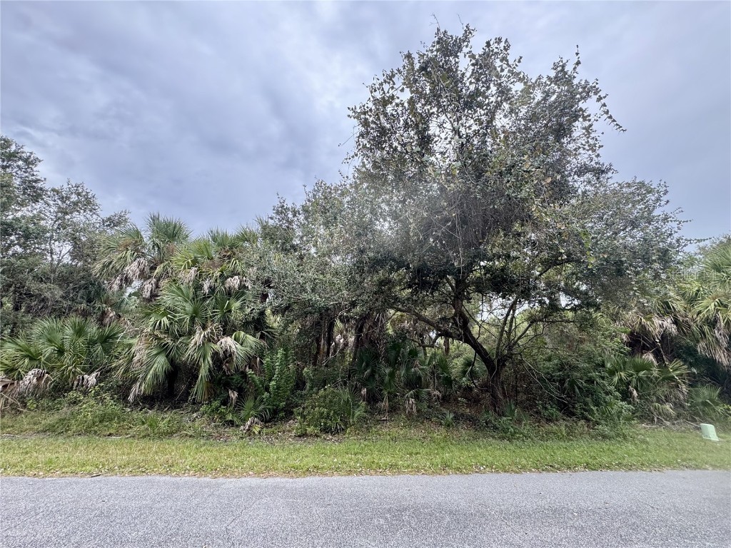 Rayfield Drive North Port FL 34291 C7517435 image1