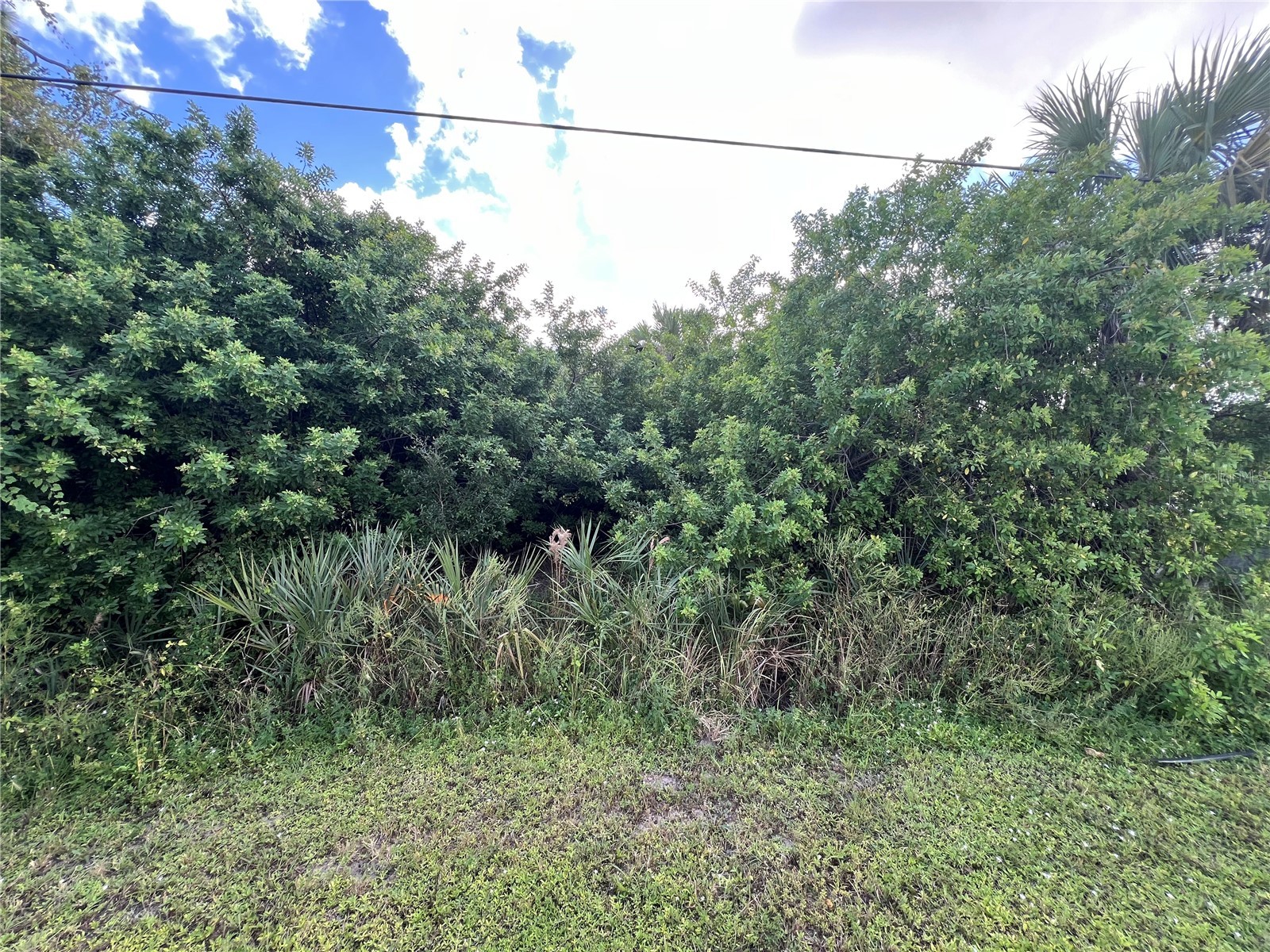 Raywood Avenue North Port FL 34286 A4688565 image2