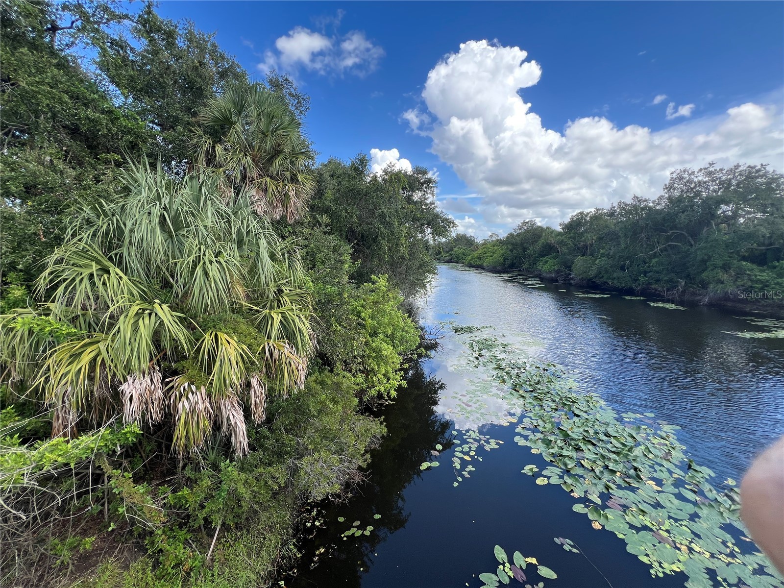 Raywood Avenue North Port FL 34286 A4688565 image5