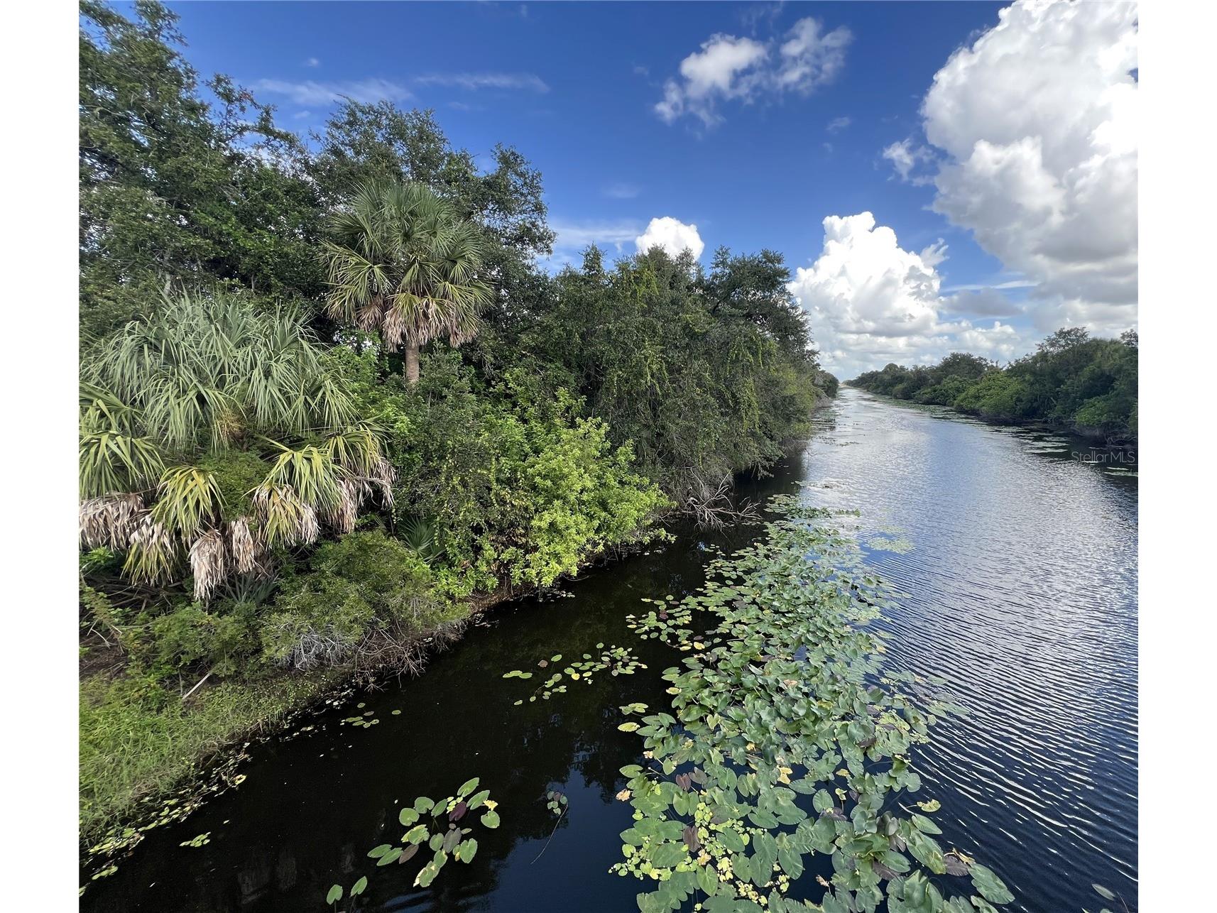 Raywood Avenue North Port FL 34286 A4688565 image6