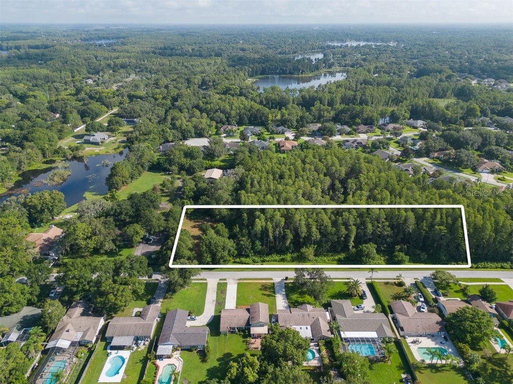 Rebecca Lutz FL 33548 T3391894 image1