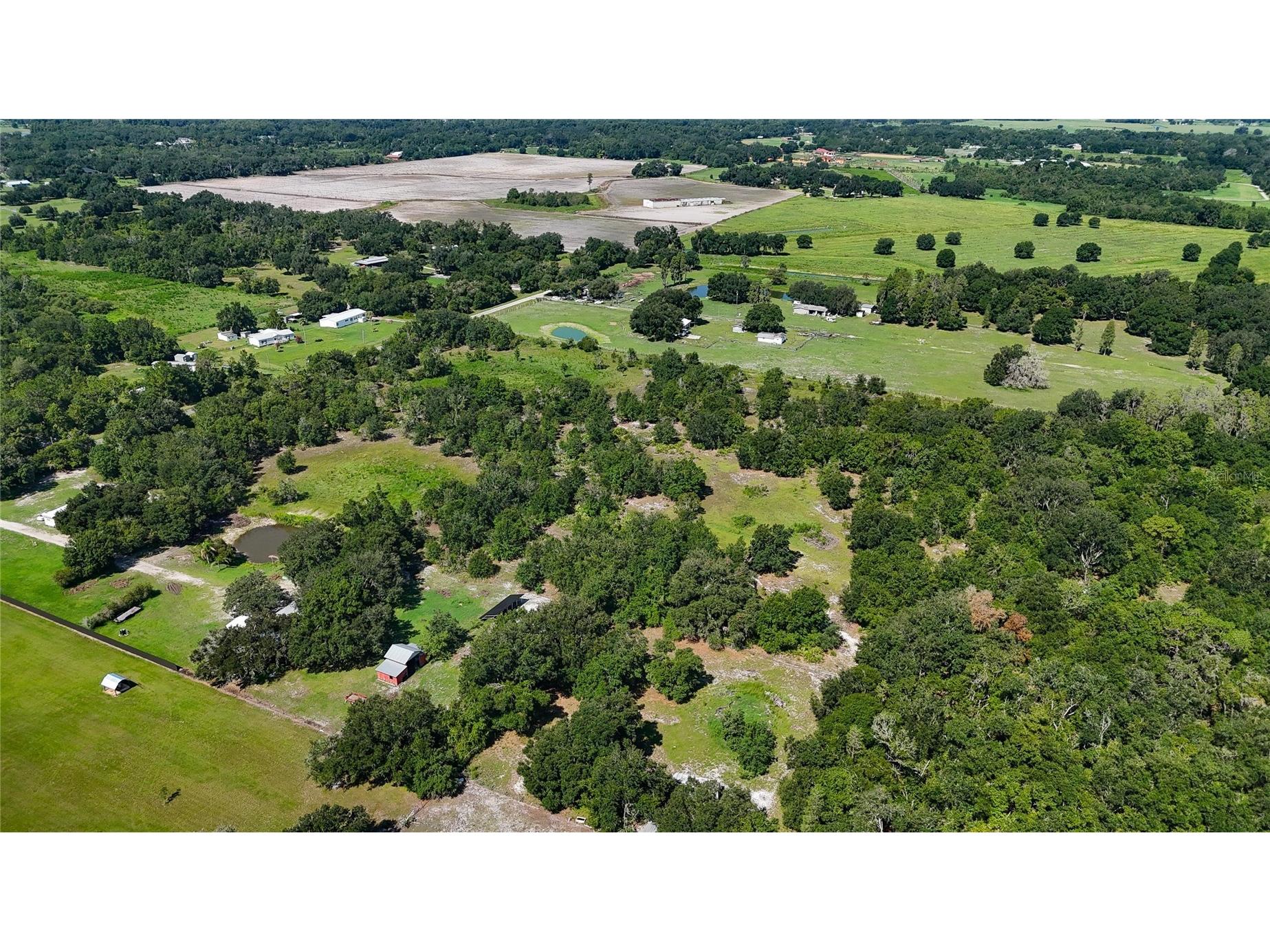 Red Hawk Lane Plant City FL 33565 TB8530449 image19