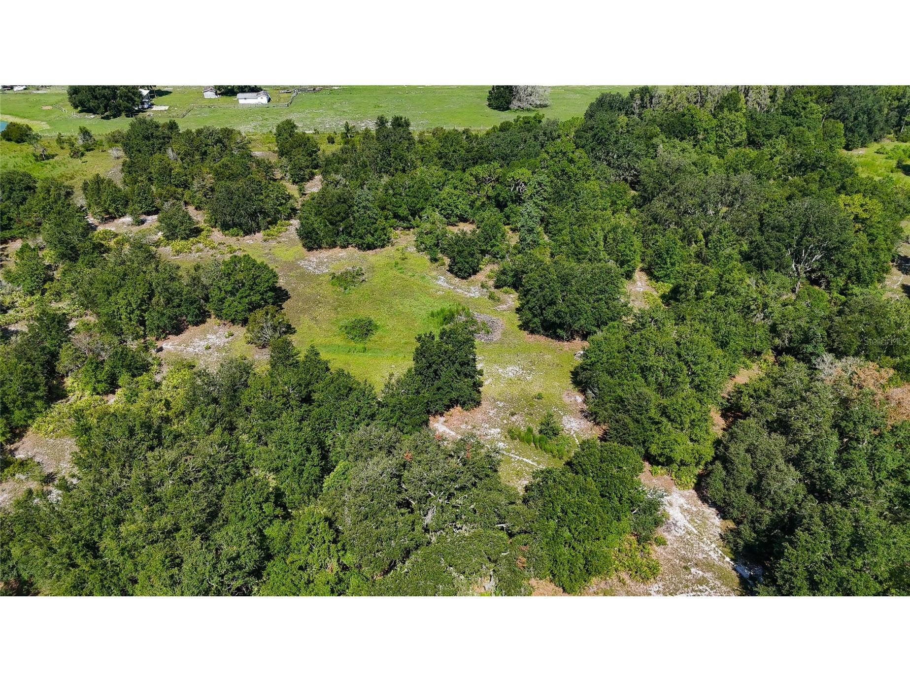 Red Hawk Lane Plant City FL 33565 TB8530449 image23