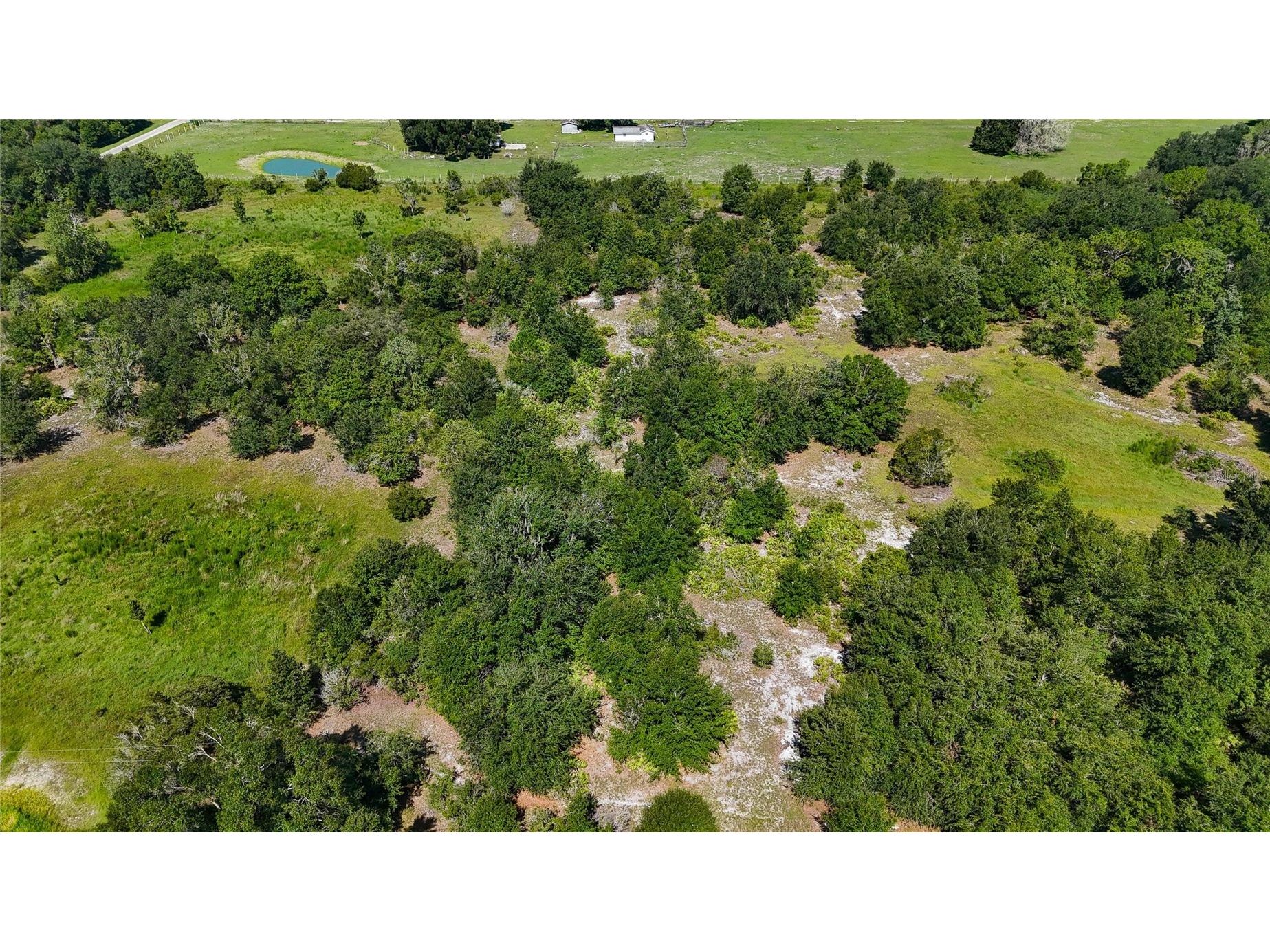 Red Hawk Lane Plant City FL 33565 TB8530449 image24