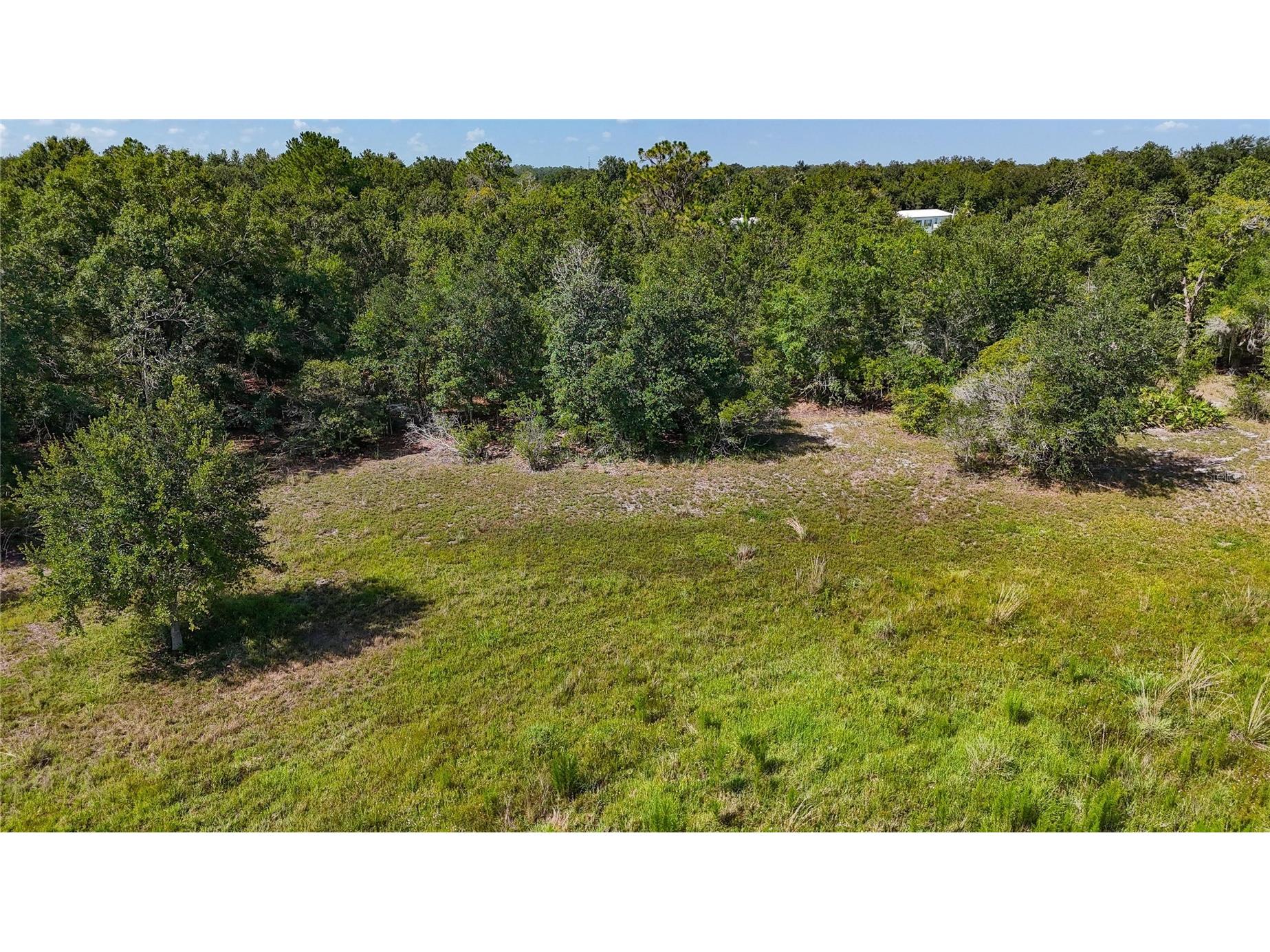 Red Hawk Lane Plant City FL 33565 TB8530449 image26