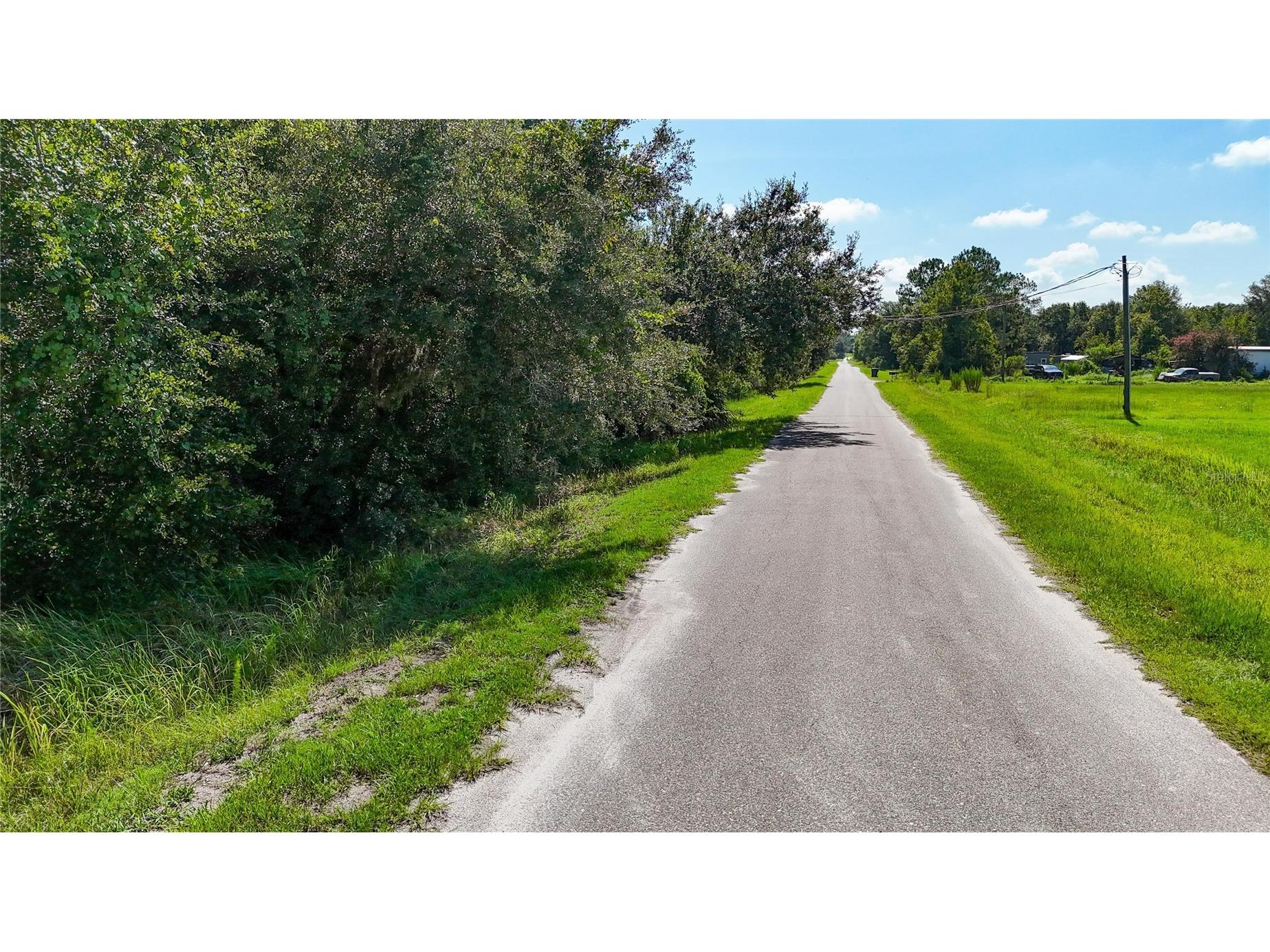 Red Hawk Lane Plant City FL 33565 TB8530449 image3