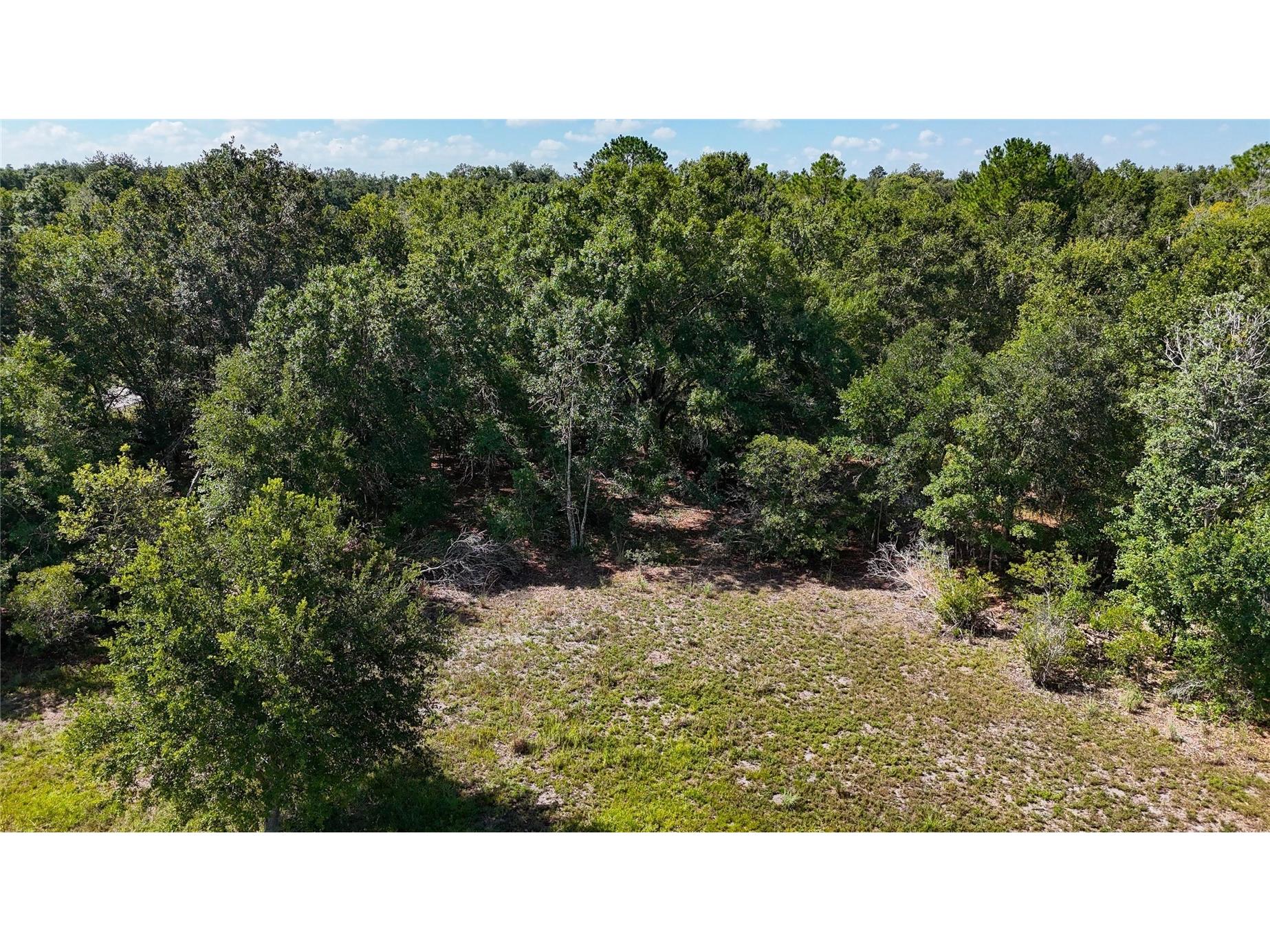 Red Hawk Lane Plant City FL 33565 TB8530449 image30