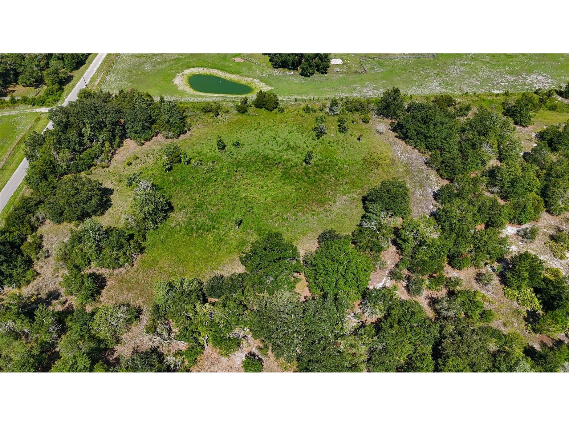 Red Hawk Lane Plant City FL 33565 TB8530449 image31