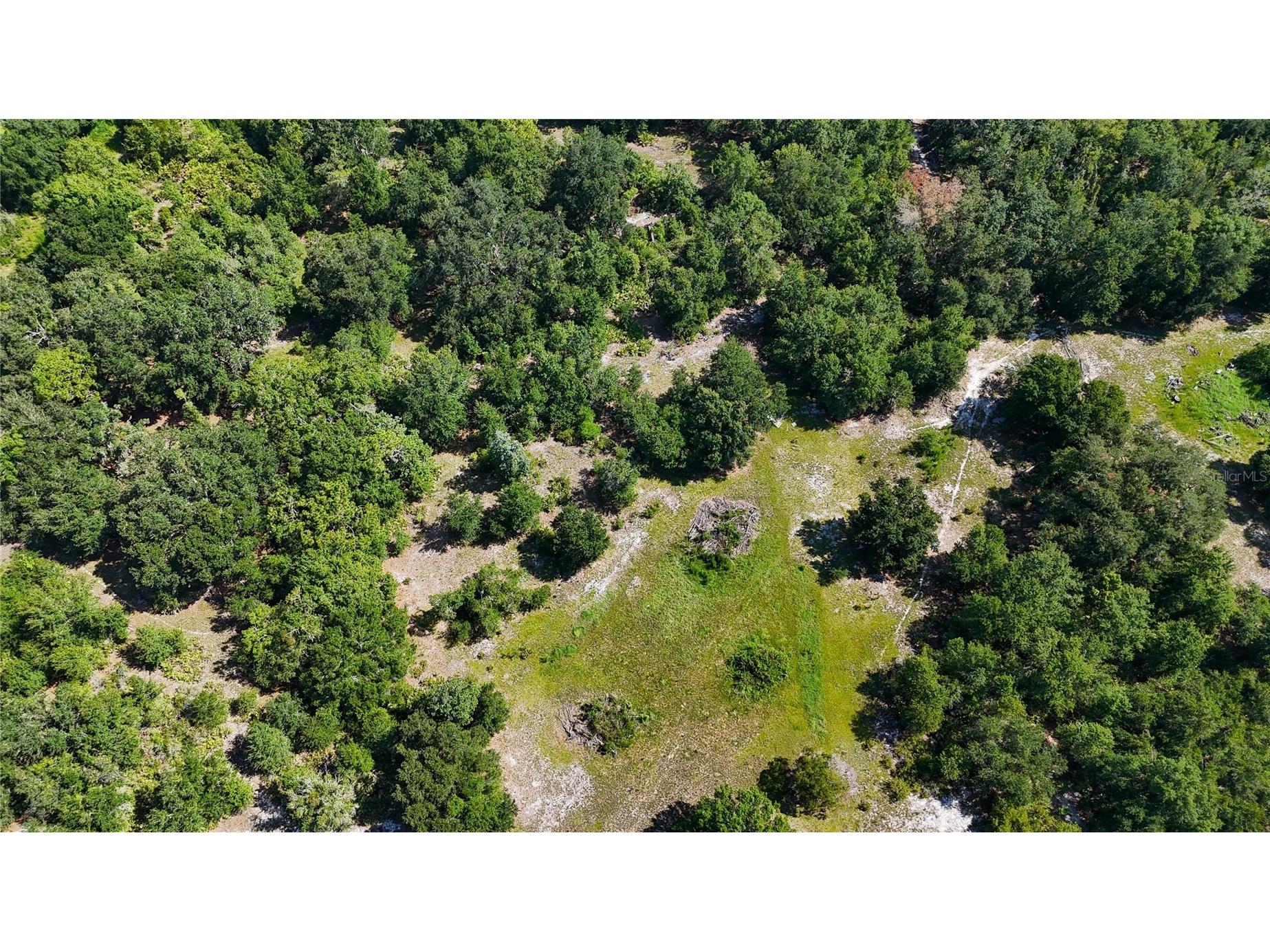 Red Hawk Lane Plant City FL 33565 TB8530449 image34
