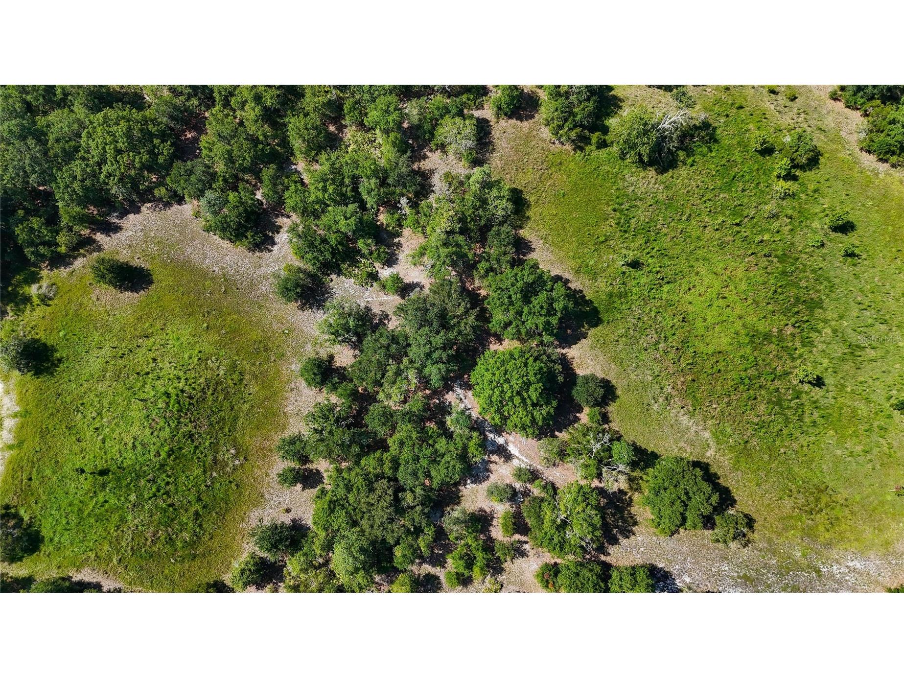Red Hawk Lane Plant City FL 33565 TB8530449 image37