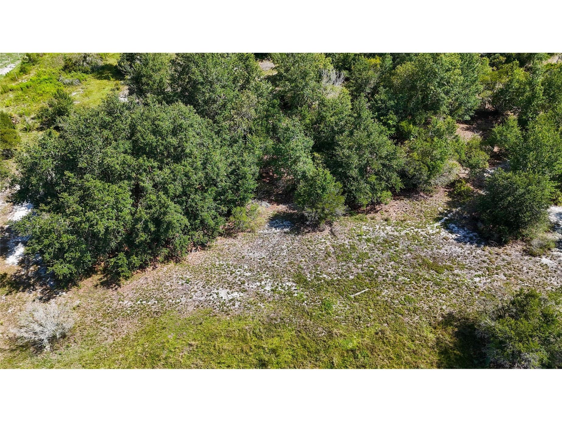 Red Hawk Lane Plant City FL 33565 TB8530449 image39