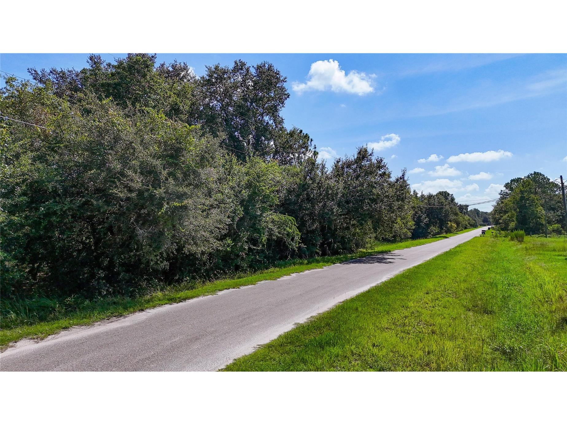 Red Hawk Lane Plant City FL 33565 TB8530449 image4