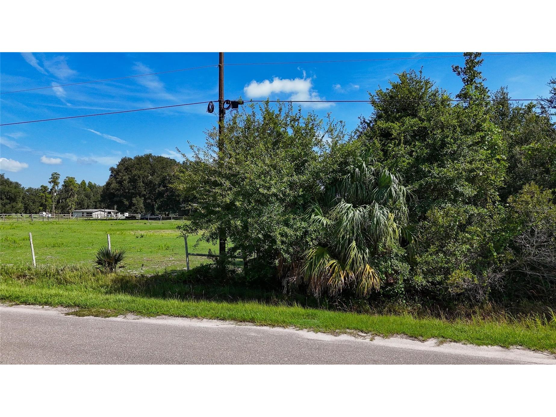 Red Hawk Lane Plant City FL 33565 TB8530449 image42