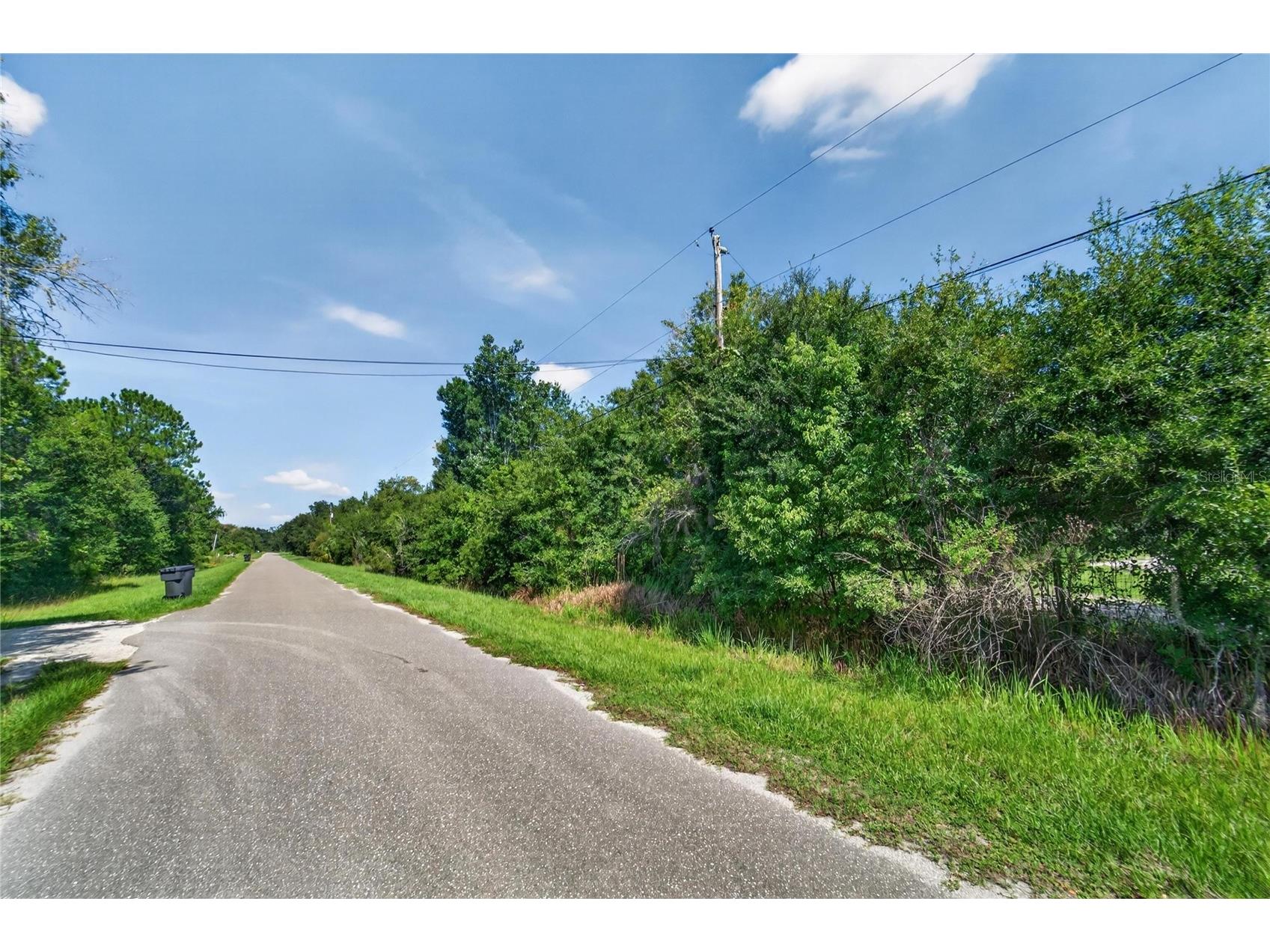 Red Hawk Lane Plant City FL 33565 TB8530449 image44