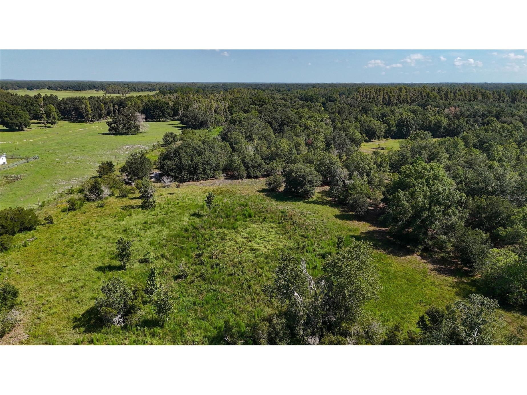 Red Hawk Lane Plant City FL 33565 TB8530449 image6