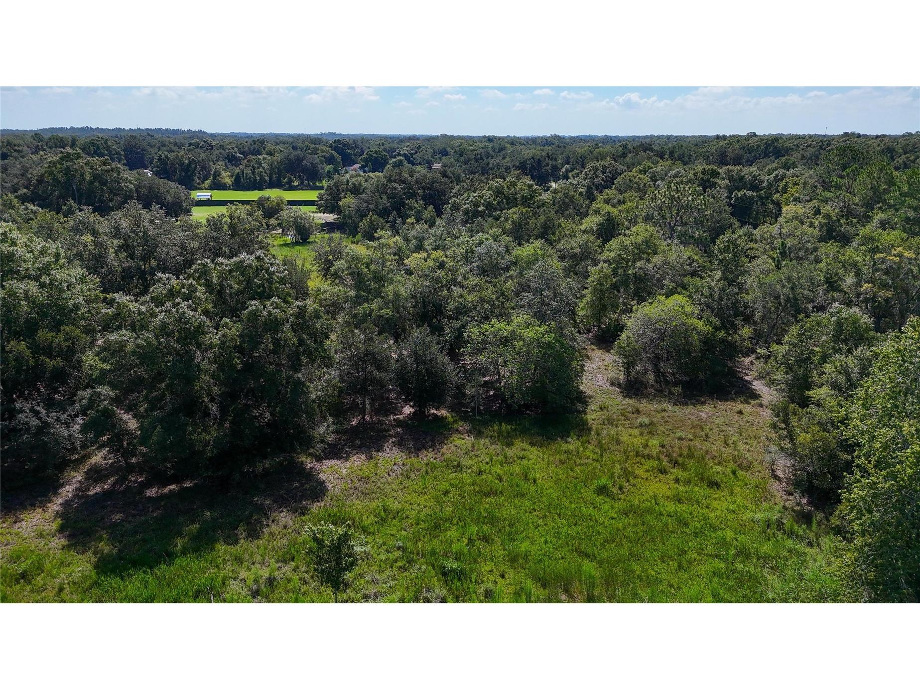 Red Hawk Lane Plant City FL 33565 TB8530449 image7