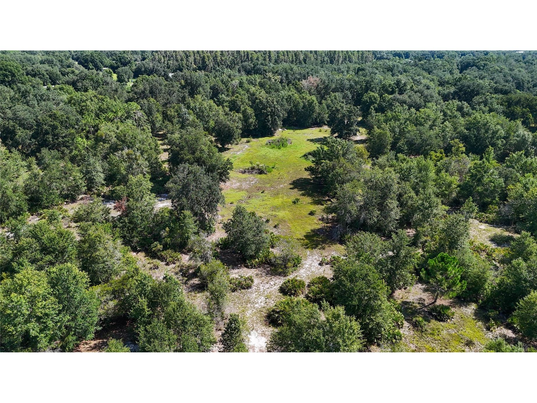 Red Hawk Lane Plant City FL 33565 TB8530449 image8