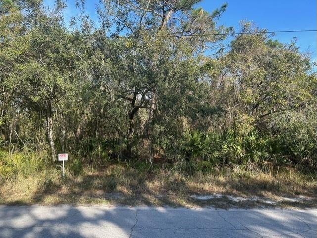 Red Oak Loop New Port Richey FL 34654 T3503734 image1