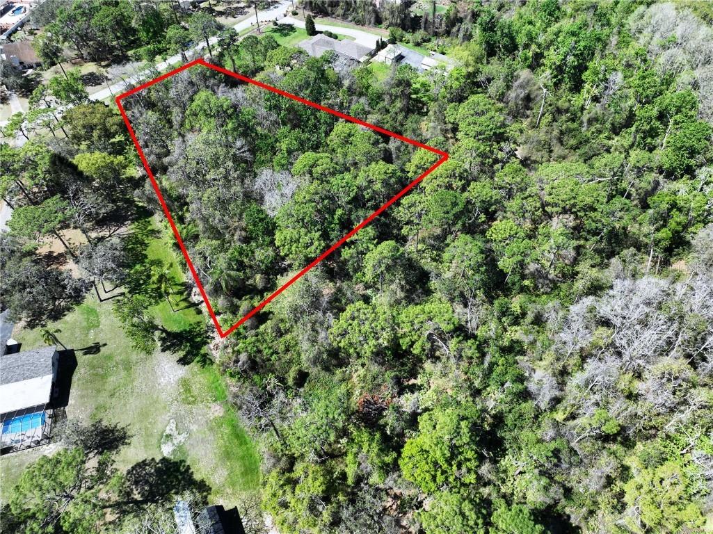 Red Oak Loop New Port Richey FL 34654 TB8362344 image3