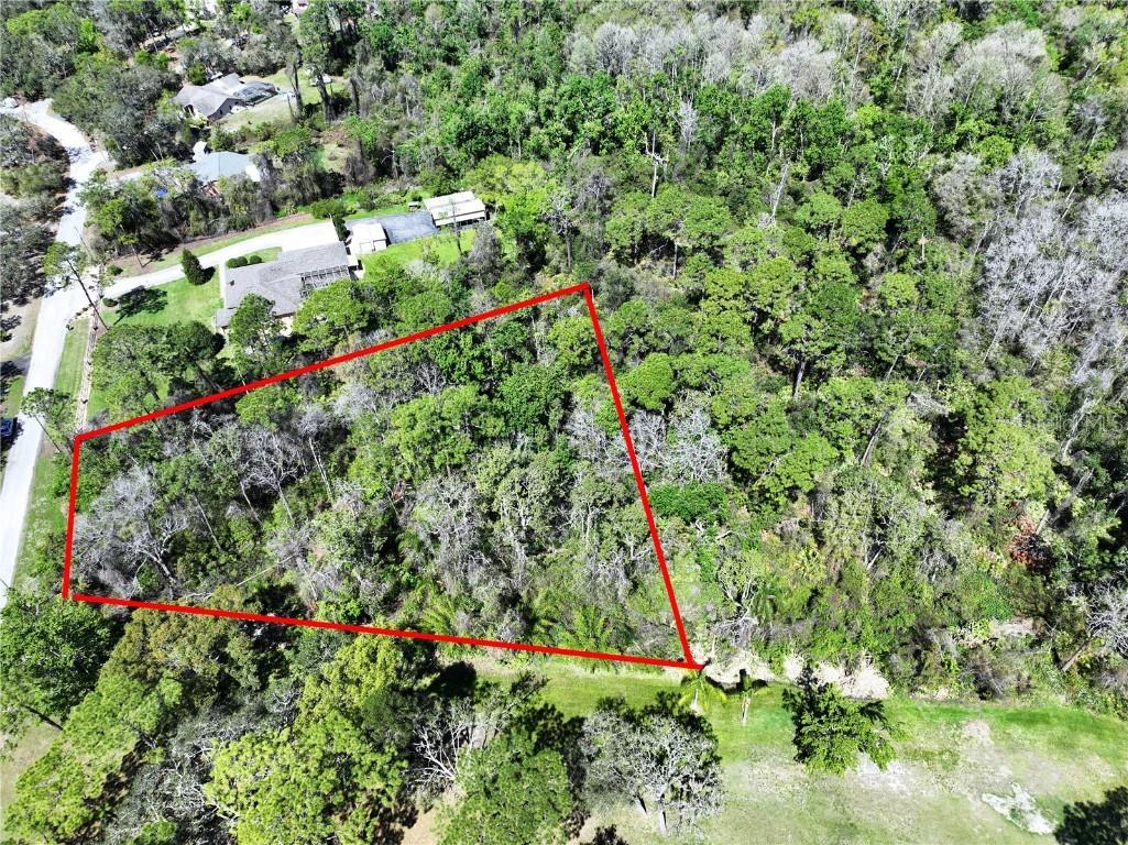 Red Oak Loop New Port Richey FL 34654 TB8362344 image4
