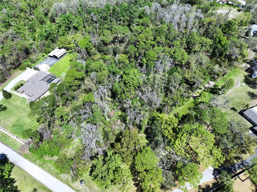 Red Oak Loop New Port Richey FL 34654 TB8362344 image5