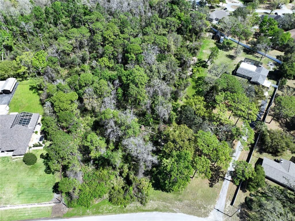 Red Oak Loop New Port Richey FL 34654 TB8362344 image6