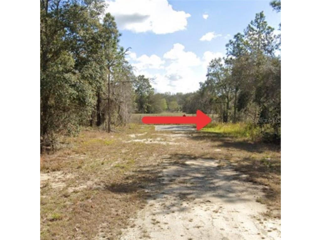 Red Thrush Avenue Weeki Wachee FL 34614 S5046255 image1