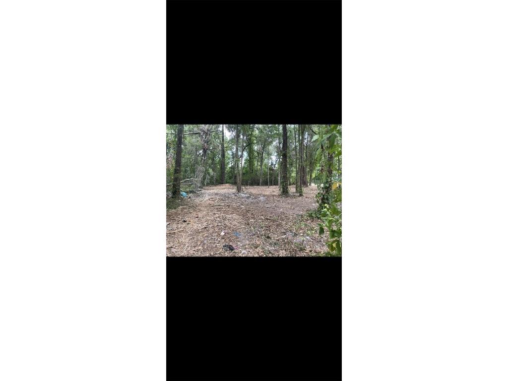 Redbud Lane Brooksville FL 34601 T3489578 image1