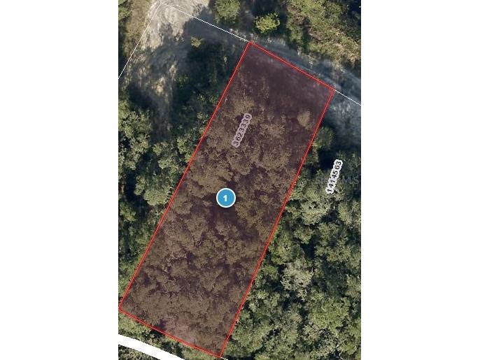Redbud Road Lady Lake FL 32159 G5113913 image1