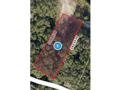 Redbud Road Lady Lake FL 32159 G5113914 image1