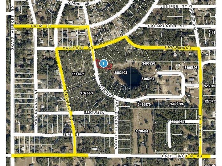 Redbud Road Lady Lake FL 32159 OM722744 image10