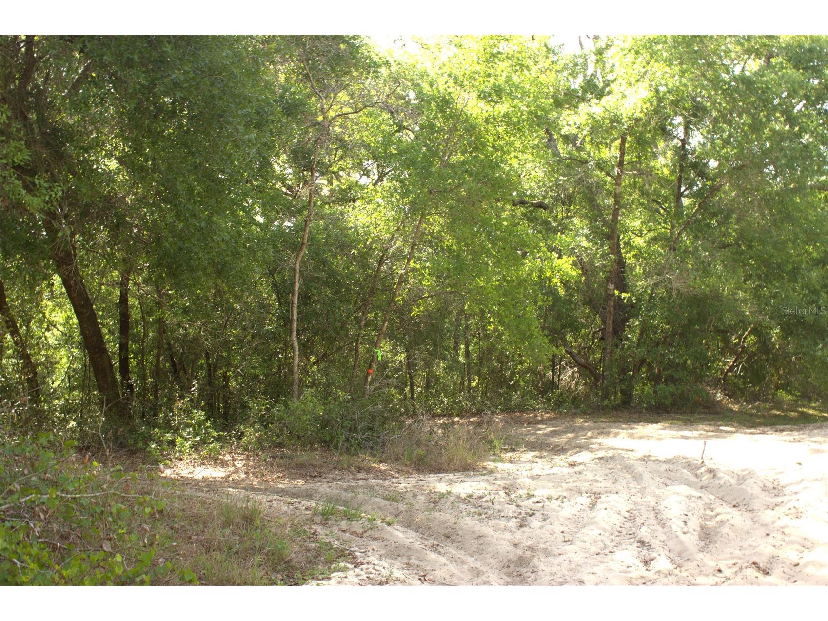 Redbud Road Lady Lake FL 32159 OM722744 image6