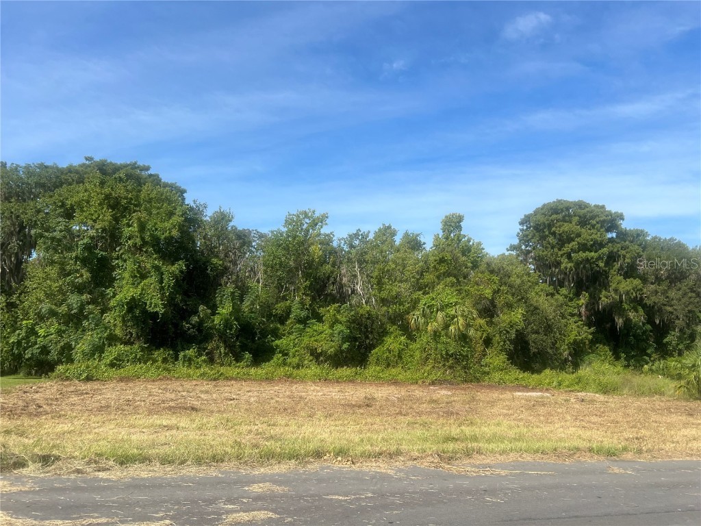 Redtree Drive Leesburg FL 34748 G5100010 image1