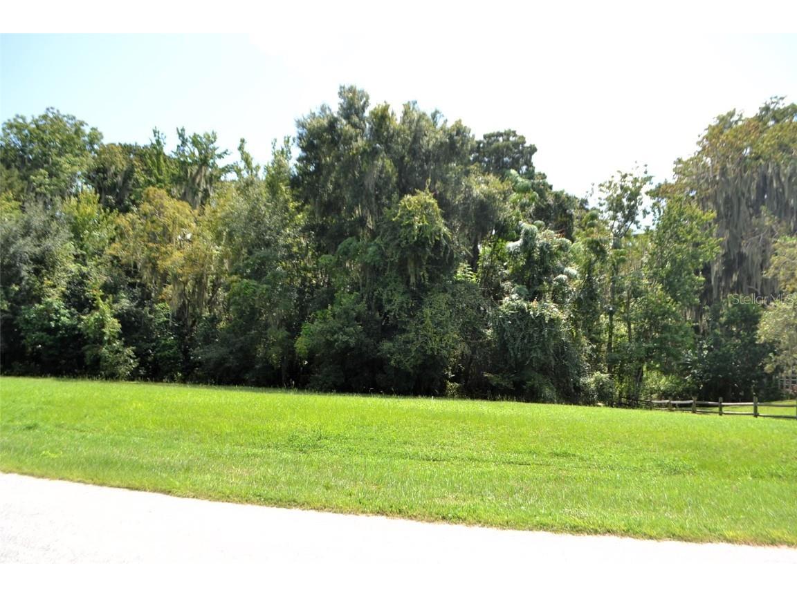 Redtree Drive Leesburg FL 34748 - LAKE HARRIS G5103369 image1