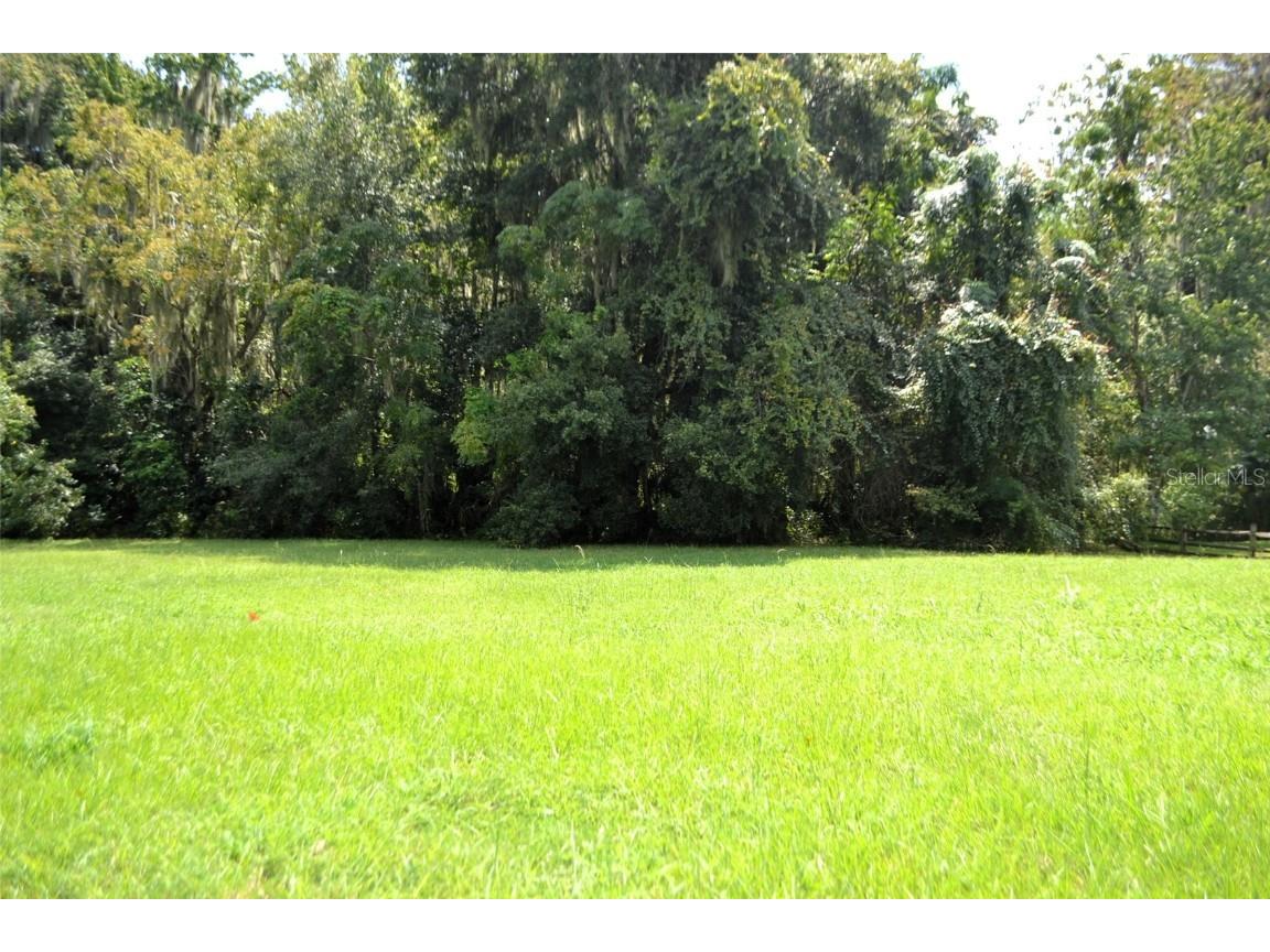 Redtree Drive Leesburg FL 34748 - LAKE HARRIS G5103369 image2