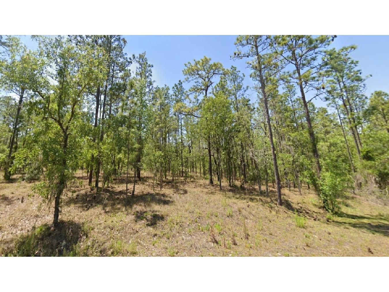 Redwing Road Dunnellon FL 34431 O6139275 image1