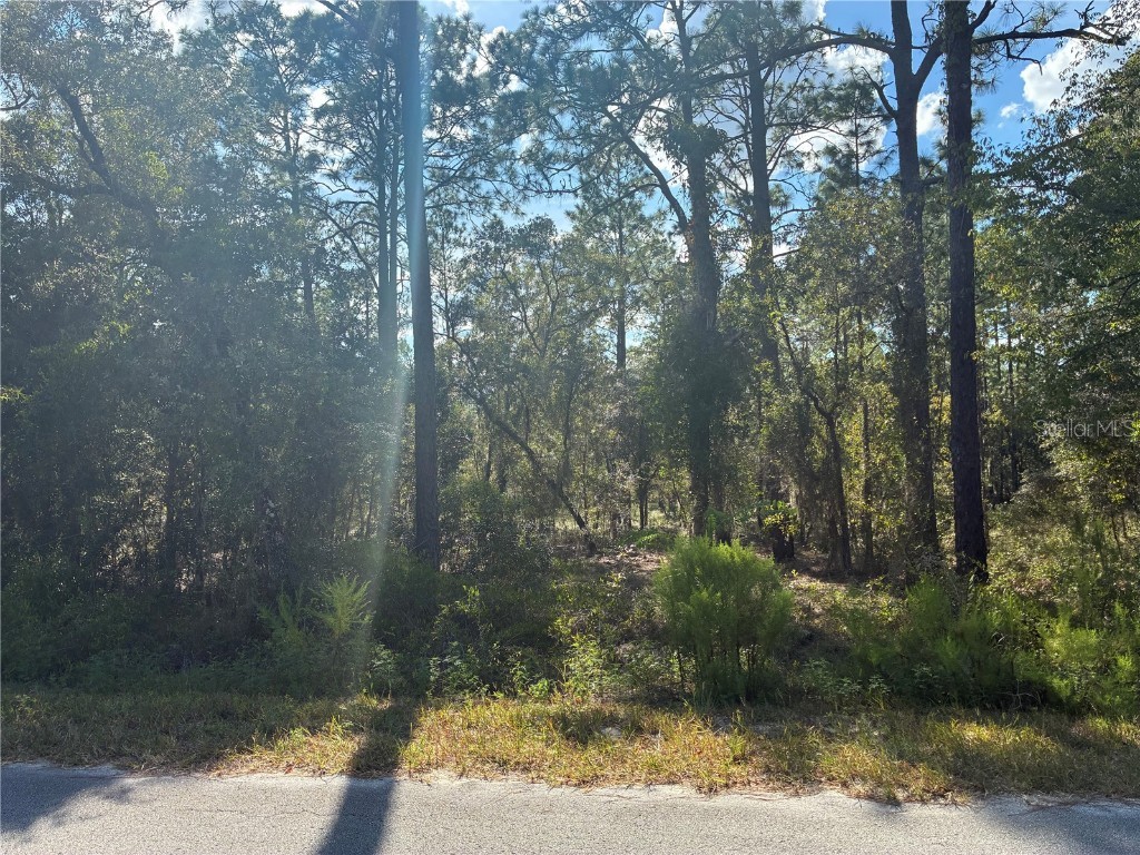 Redwing Road Dunnellon FL 34430 OM709032 image1