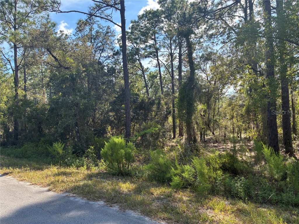 Redwing Road Dunnellon FL 34430 OM709032 image2