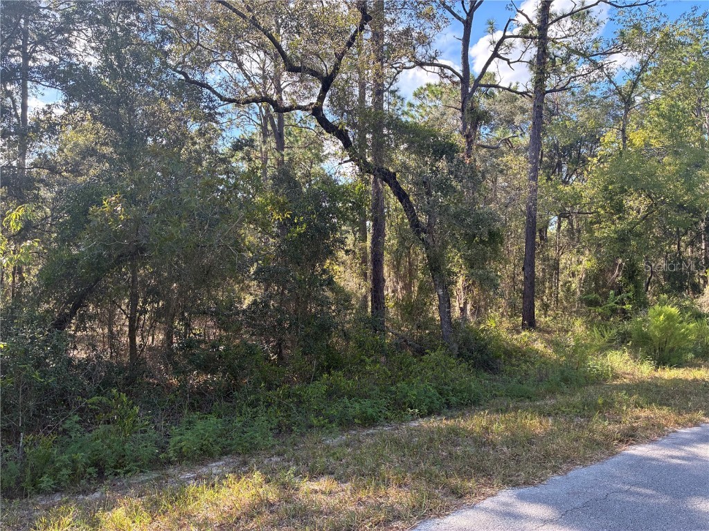 Redwing Road Dunnellon FL 34430 OM709032 image3