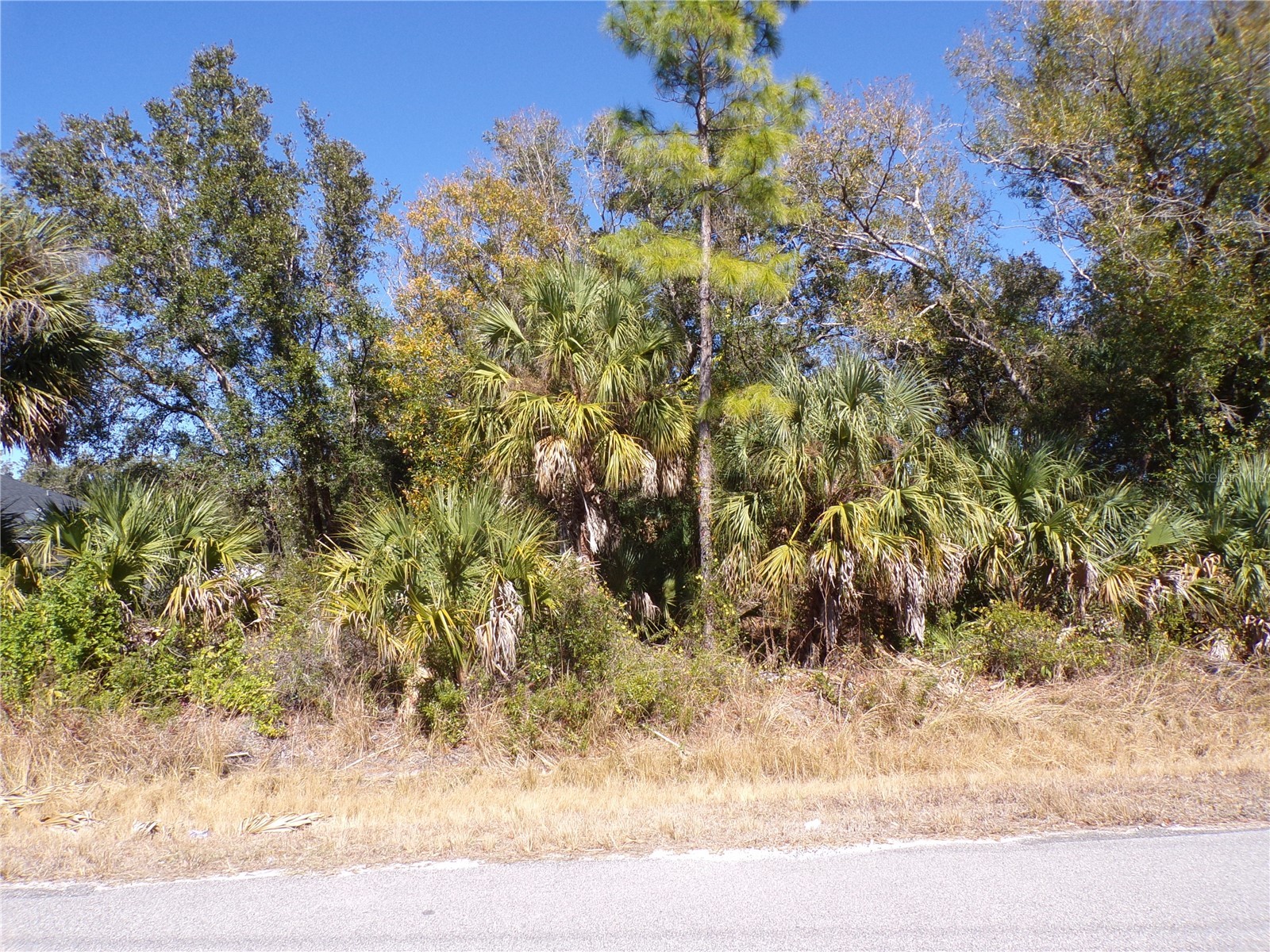 Renick Lane North Port FL 34288 C7521963 image1
