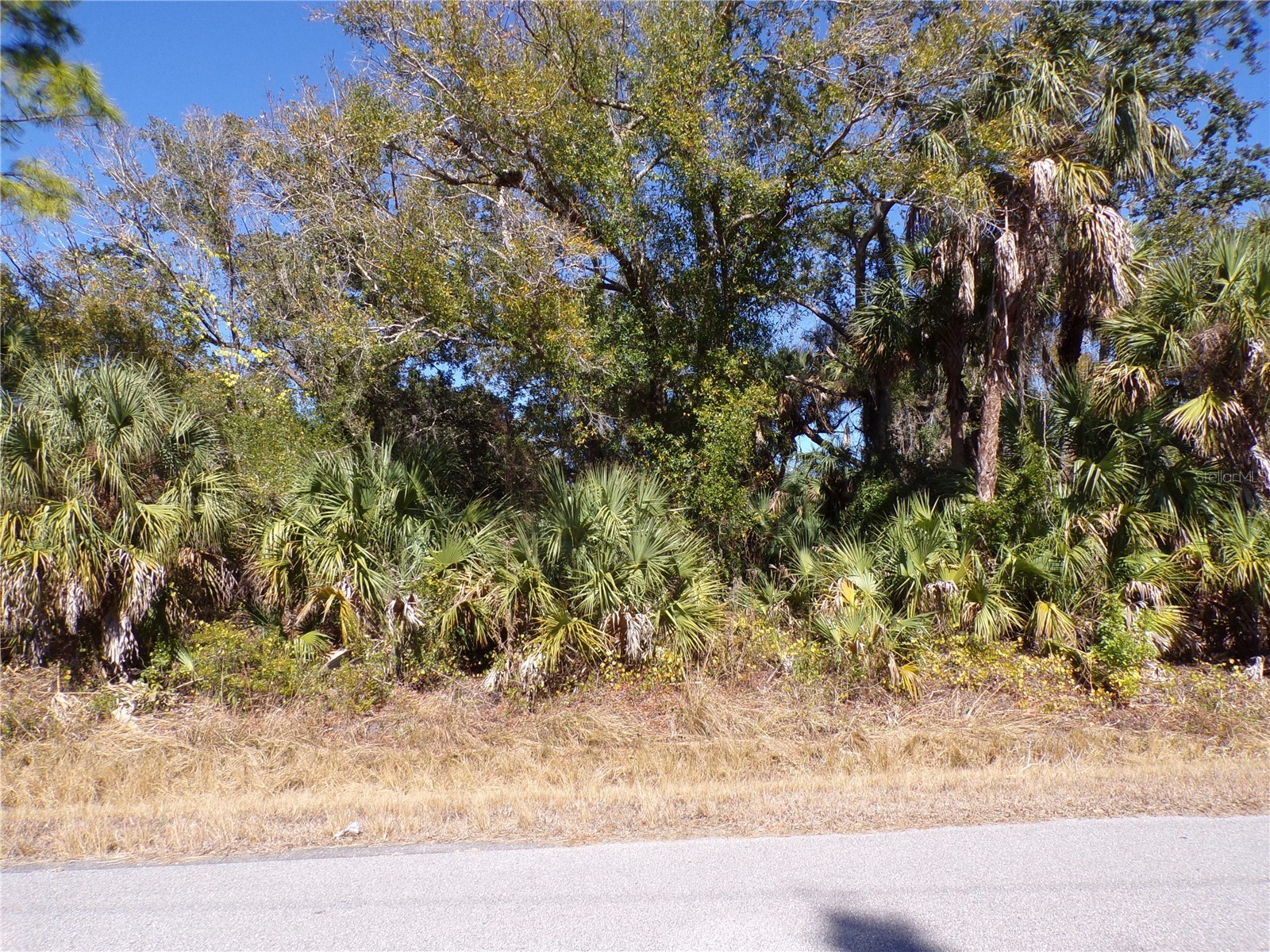 Renick Lane North Port FL 34288 C7521963 image5