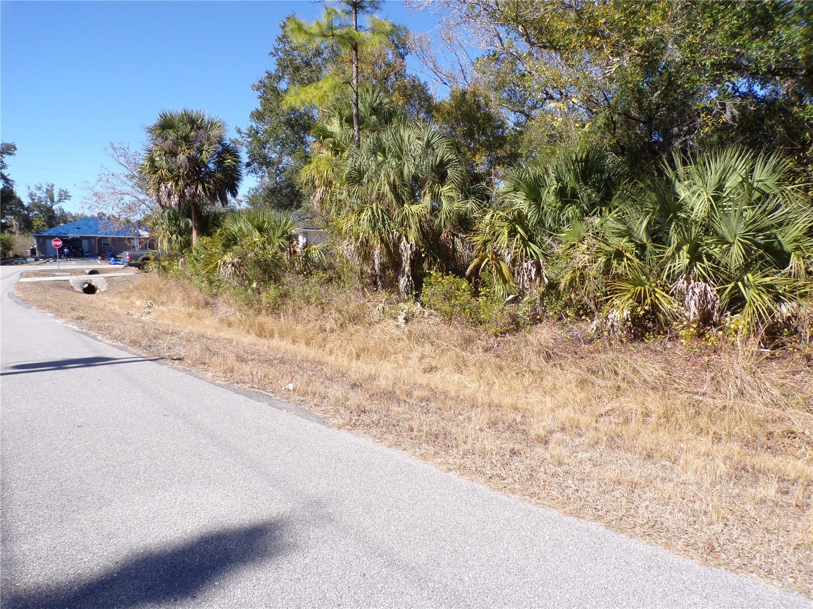 Renick Lane North Port FL 34288 C7521963 image7