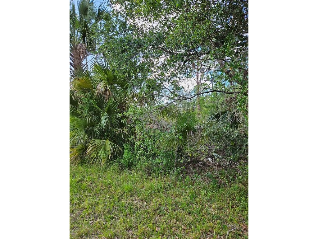 Rentscher Avenue North Port FL 34291 C7474605 image1