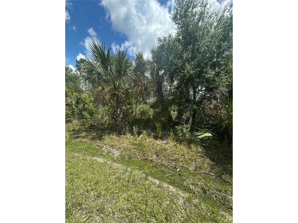 Rentscher Avenue North Port FL 34291 N6139425 image1