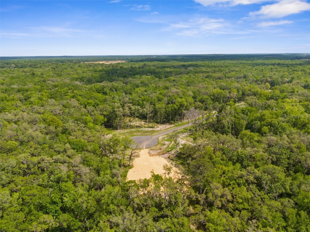 Republican (Lot 5) Way Brooksville FL 34601 W7874895 image8