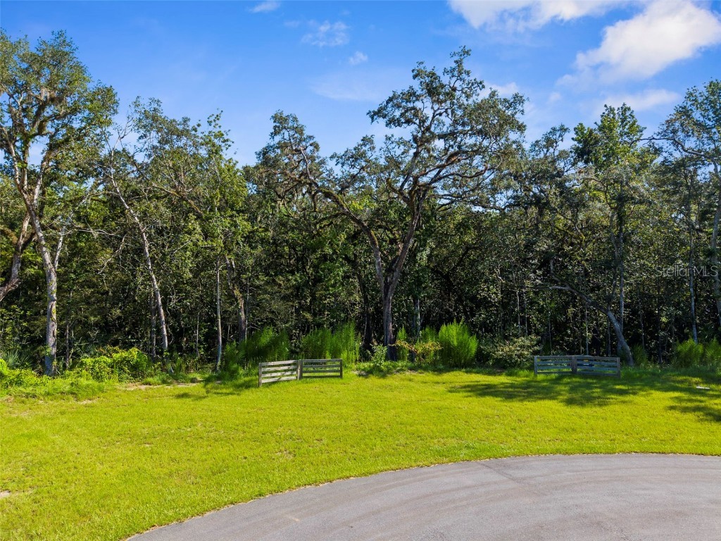 Republican (Lot 6) Way Brooksville FL 34601 W7862483 image22
