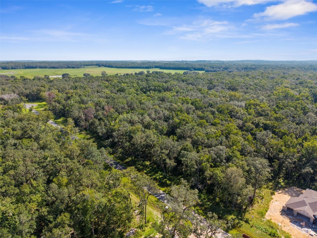 Republican (Lot 8) Way Brooksville FL 34601 W7862486 image14