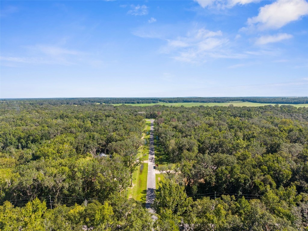 Republican (Lot 8) Way Brooksville FL 34601 W7862486 image16