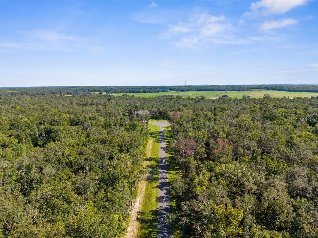 Republican (Lot 8) Way Brooksville FL 34601 W7862486 image18