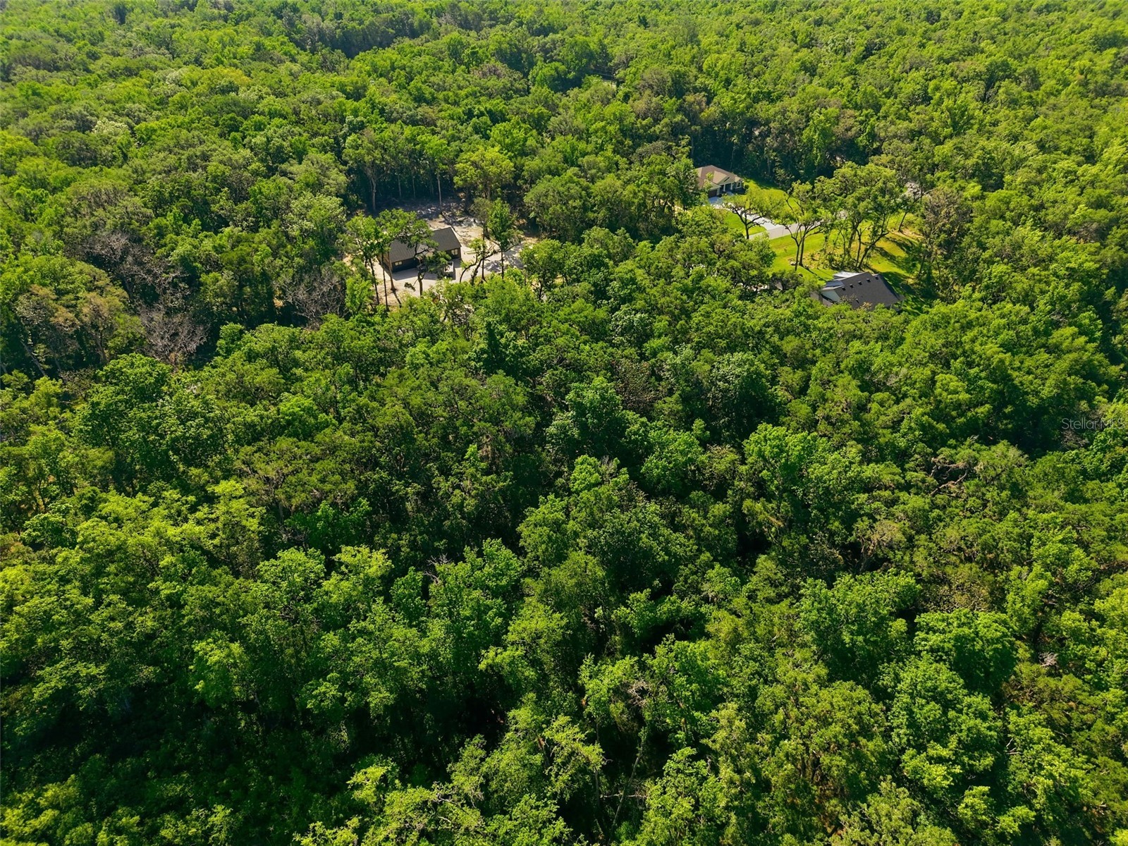 Republican (Lot 2) Way Brooksville FL 34601 W7885022 image20